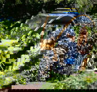 Adelaide 90-Minute Pedicab Tour Scenic Green  River Experience - Accommodation Fremantle