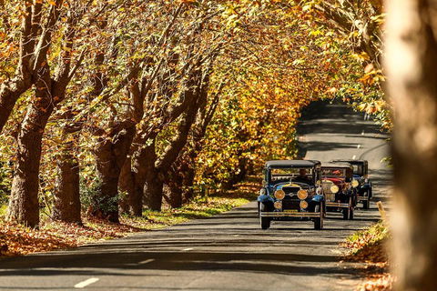 Blue Mountains Vintage Cadillac Tour With Local Guide - Accommodation Fremantle 1