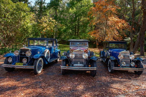 Blue Mountains Vintage Cadillac Tour With Local Guide - Accommodation Fremantle 4