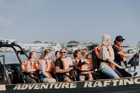Adventure Whale Watching Tour Mooloolaba - Accommodation Fremantle 4