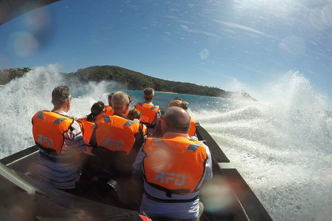 Noosa Thriller - 500hp Ocean Adventure Ride - Accommodation Fremantle 3