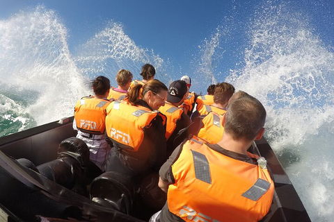 Noosa Thriller - 500hp Ocean Adventure Ride - Accommodation Fremantle 4