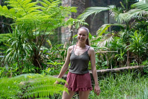 Full-Day Guided Hinterland Adventure Tour In Queensland - Accommodation Fremantle 0