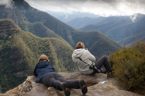 Inside The Greater Blue Mountains World Heritage - A Private Wildlife Safari Overnight - Accommodation Fremantle 0
