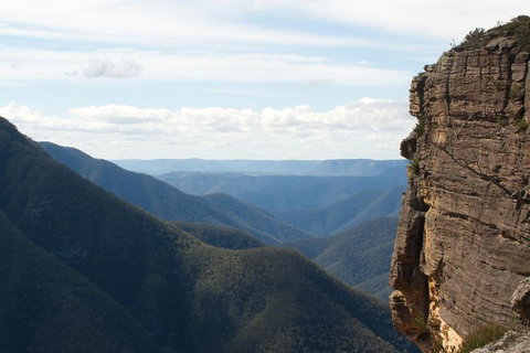 Inside The Greater Blue Mountains World Heritage - A Private Wildlife Safari Overnight - Accommodation Fremantle 4