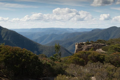 Inside The Greater Blue Mountains World Heritage - A Private Wildlife Safari Overnight - Accommodation Fremantle 5