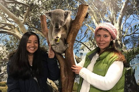 Australia Multi-City Attractions Pass - Accommodation Fremantle 3