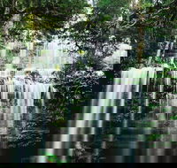 Mt Field National Park and Russell Falls from Hobart - Accommodation Fremantle