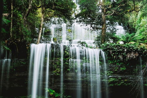 Mt Field National Park And Russell Falls From Hobart - Accommodation Fremantle 0