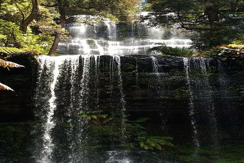 Mt Field National Park And Russell Falls From Hobart - Accommodation Fremantle 2