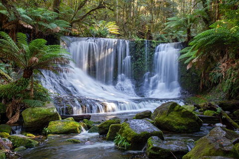 Mt Field National Park And Russell Falls From Hobart - Accommodation Fremantle 5