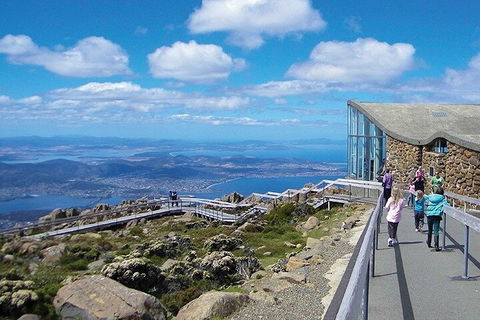 Mt Wellington Tour And MONA Admission - Accommodation Fremantle 1