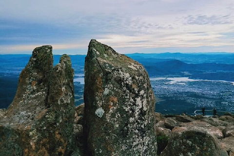 Mt Wellington Tour And MONA Admission - Accommodation Fremantle 2