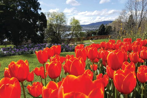 Hobart Half-Day Sightseeing Coach Tram Tour - Accommodation Fremantle 4
