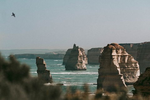 Half-Day Or Full-Day Tour With Private Guide From Melbourne - Accommodation Fremantle 0