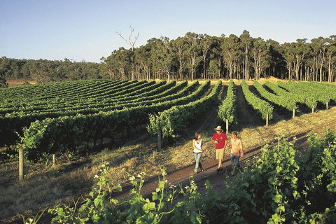 Margaret River, Caves, Wine And Cape Leeuwin Lighthouse Tour From Perth - Accommodation Fremantle 1