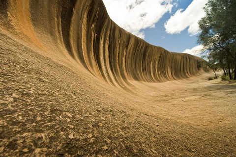 Wave Rock, York, Wildflowers, And Aboriginal Cultural Day Tour From Perth - Accommodation Fremantle 0