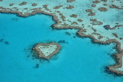 Reef And Island Scenic Flight From Airlie Beach - Accommodation Fremantle 5