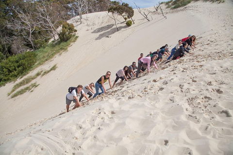 6-Day Tasmanian Explorer Adventure Tour From Hobart - Accommodation Fremantle 2