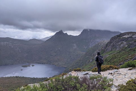 5-Day Best Of Tasmania Tour From Hobart - Accommodation Fremantle 3