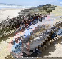 3 Day Tasmanian Wild West Coast Tour from Hobart to Launceston - Accommodation Fremantle
