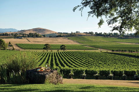 Yarra Valley 2-6 Guests Premium Food And Wine Inc Lunch At Dominique Portet - Accommodation Fremantle 2