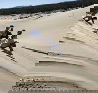 Port Stephens Bush Beach and Sand Dune 4WD Tag-Along Tour - Accommodation Fremantle