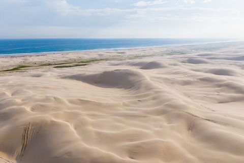 Port Stephens Bush, Beach And Sand Dune 4WD Passenger Tour - Accommodation Fremantle 2