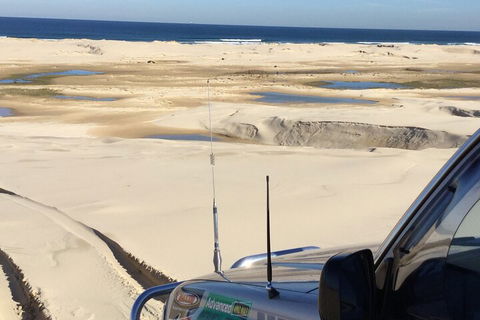 Port Stephens Bush, Beach And Sand Dune 4WD Passenger Tour - Accommodation Fremantle 5