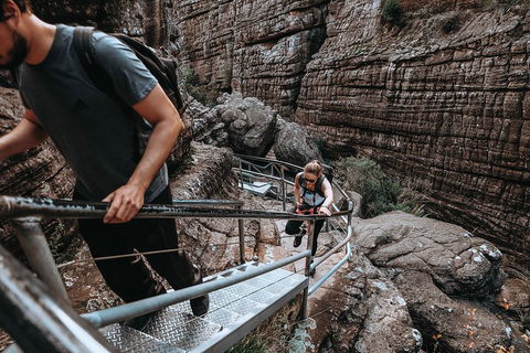 Small Group - Grampians Hiking Day Tour From Melbourne - Accommodation Fremantle 1