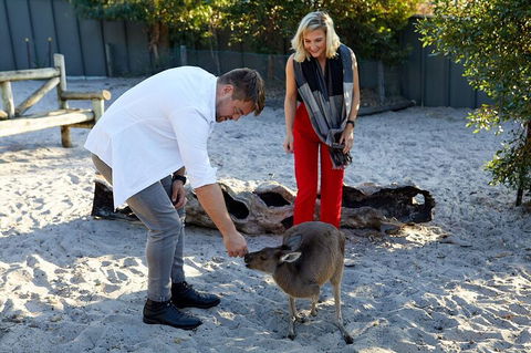 Albany's Whale Story - Accommodation Fremantle 1