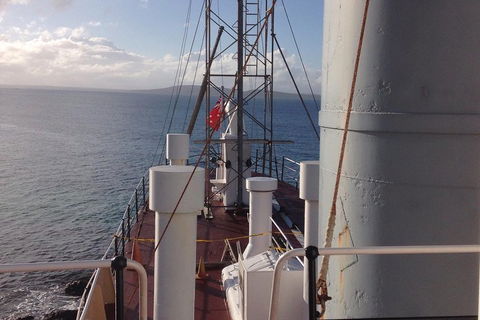 Albany's Whale Story - Accommodation Fremantle 2