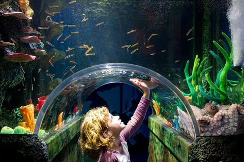Melbourne BIG Ticket - LEGOLAND Discovery And SEA LIFE Melbourne - Accommodation Fremantle 2