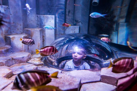 Melbourne BIG Ticket - LEGOLAND Discovery And SEA LIFE Melbourne - Accommodation Fremantle 5