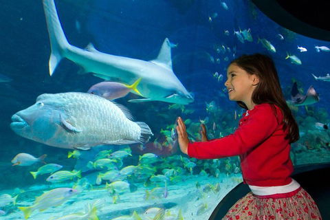 SEA LIFE Melbourne Aquarium Admission Ticket - Accommodation Fremantle 1