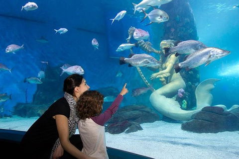 SEA LIFE Melbourne Aquarium Admission Ticket - Accommodation Fremantle 4