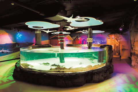 SEA LIFE Melbourne Aquarium Admission Ticket - Accommodation Fremantle 5