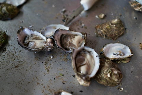 Fine Flavours - Full Day Kangaroo Island Food & Wine Tour - Accommodation Fremantle 2