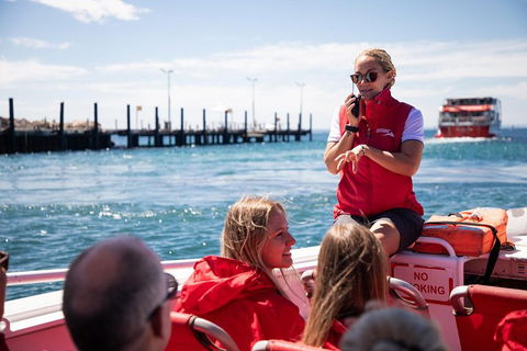 Adventure Rottnest Tour With Ferry & Adventure Cruise From Perth Or Fremantle - Accommodation Fremantle 4