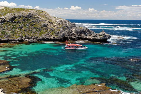 Adventure Rottnest Tour With Ferry & Adventure Cruise From Perth Or Fremantle - Accommodation Fremantle 5