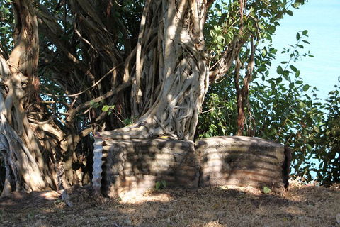 Darwin Walking Tour: World War II Reflections - Accommodation Fremantle 3