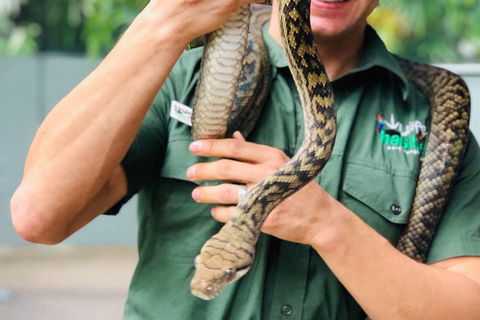 Virtual Interactive Australian Wildlife Tour With Private Guide-Wildlife Habitat - Accommodation Fremantle 1