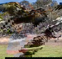 One Day Kangaroo Island Sip  See tour with return ferry transfers from Adelaide - Accommodation Fremantle