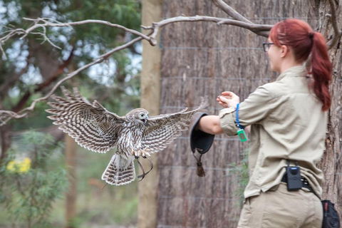 Moonlit Sanctuary Wildlife Conservation Park Daytime General Entry Ticket - Accommodation Fremantle 1