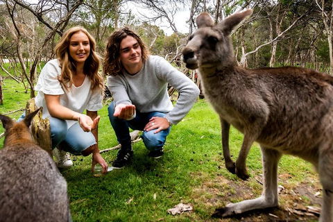 Moonlit Sanctuary Wildlife Conservation Park Daytime General Entry Ticket - Accommodation Fremantle 2
