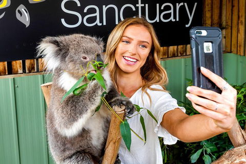 Moonlit Sanctuary Wildlife Conservation Park Daytime General Entry Ticket - Accommodation Fremantle 4
