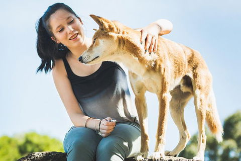 Moonlit Sanctuary Wildlife Conservation Park Daytime General Entry Ticket - Accommodation Fremantle 5