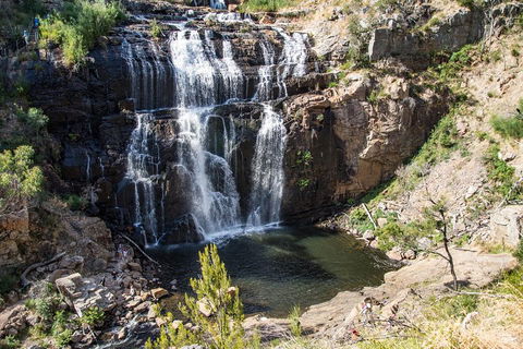Great Ocean Road Grampians 3 Day National Park Tour Melbourne Roundtrip - Accommodation Fremantle 2