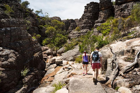 3-Day Melbourne To Adelaide Small-Group Tour Via Great Ocean Road Grampians - Accommodation Fremantle 2