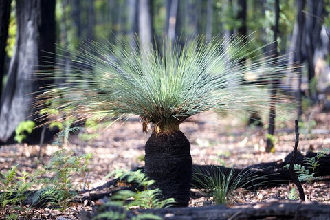 Adelaide To Melbourne 3-Day Trip Through Grampians And Great Ocean Road - Accommodation Fremantle 4